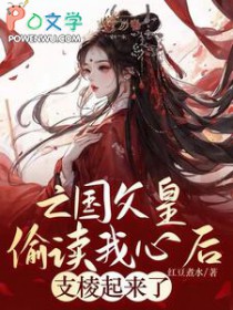 亡国皇子小说