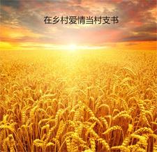 乡村爱情第一部村支书